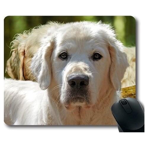 Dog Lover Mouse Pad,Golden Retriever Isolated Dog Pet Animal Portrait,dogs mouse mat