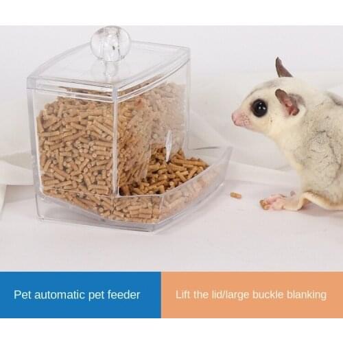 Automatic Feeding Device for Hamster, Hedgehog and Squirrel Pet Food Bowl Automatic Feeder Bird Feeder