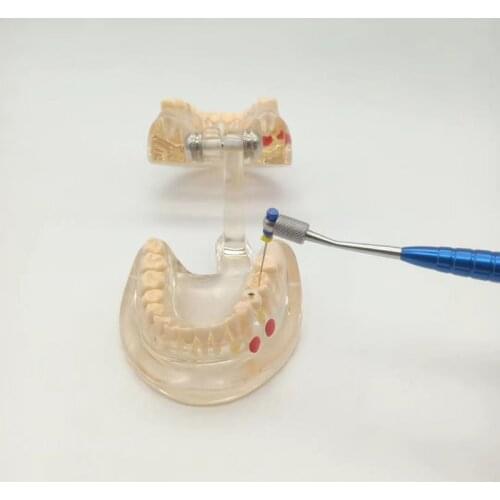 Dental Endo Files Holder Handuse Files Holder Root Canal K R H C Files Machine Rotary Files Holder Dental Endodontic Files Tool