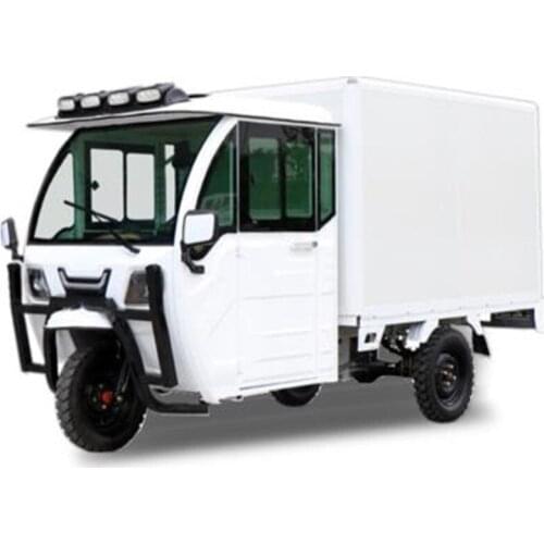 New Tricycle Enclosed Scooter Three rounds Box Pup Truck Mini Electric Utility Cargo Delivery Cars