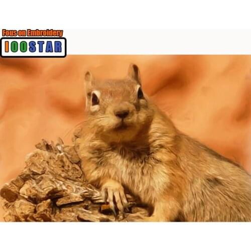 Full Square/Round Diamond 5D DIY Diamond Painting Embroidery Cross-stitch "Squirrel" Rhinestone Mosaic Painting Home Decoration