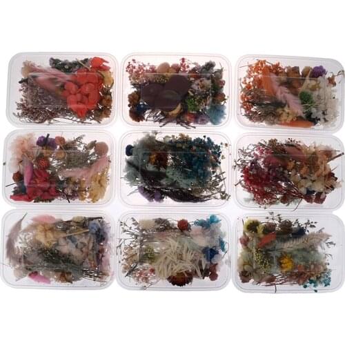 1Box Real Dried Flower Dry Plants For Aromatherapy DIY Candle Epoxy Resin Pendant Necklace Jewelry Making Craft Accessories