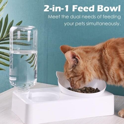 Cat Puppy2 in 1 Tilted Elevated Cat Food Raised Bowl Little Dog Feeder With Automatic Gravity Water Bottle Dispenser
