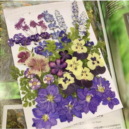 50pcs Mixed Dried Pressed Purple Flowers Plant Herbarium For Jewelry Postcard Invitation Card Phone Case Art&Craft Making