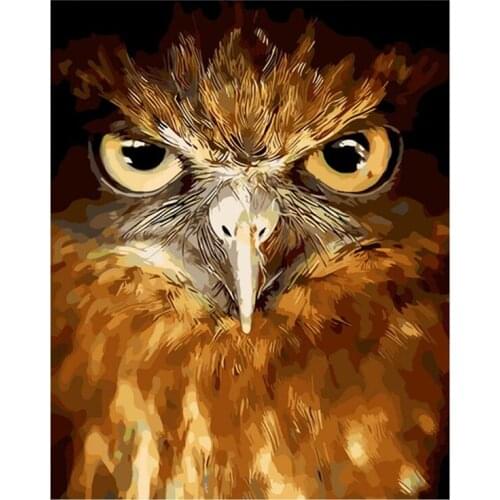 DIY Digital Painting By Numbers Package eagle eye oil painting mural Kits Coloring Wall Art Picture Gift frameless