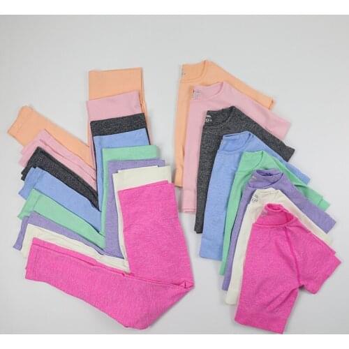 Seamless Fitness Set Sport Women Legging High Waist Sexy Pants Tracksuit Set Tights Sports Crop Top Short Sleeved Shirt Gym 2PCS