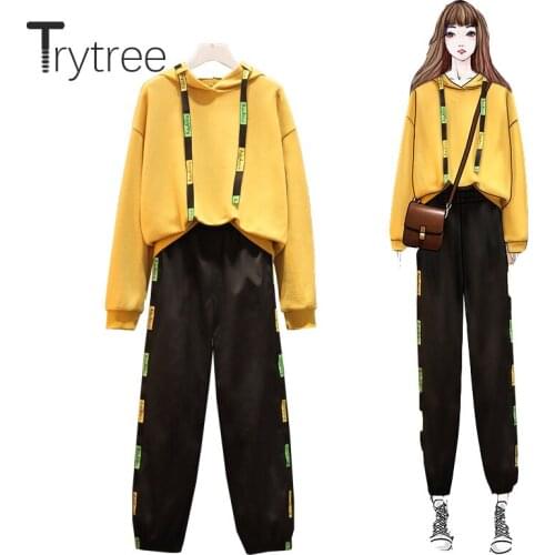 Trytree 2020 Autumn Winter Two piece set Casual Hooded Solid Loose Top + Pants Elastic Waist Fashion Office Lady Set 2 Piece Set