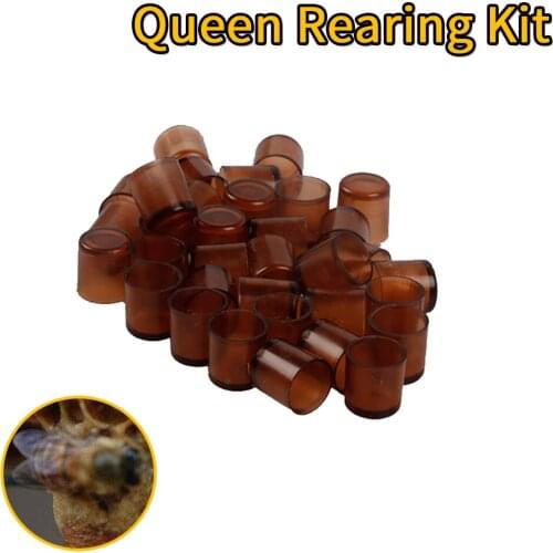 1000pcs Bees Queen Cell Beekeeping Equipment and Apicultura Tools for Beekeeper Bee keeping HDQR-001C