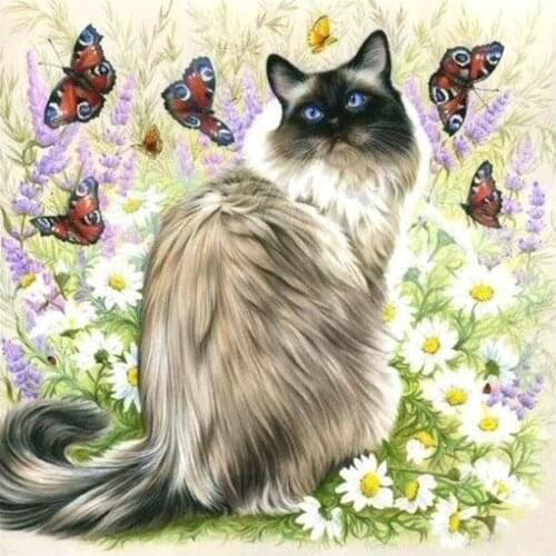Cat Butterfly and Flower Diamond Painting Animal Round Full Drill Nouveaute DIY Mosaic Embroidery 5D Cross Stitch Home Decor