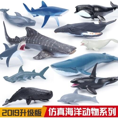 Sea Life Simulation Animal Model Pilot Shark Whale beluga humpback Dolphin Action Toys Figures Kids Educational Collection Gift