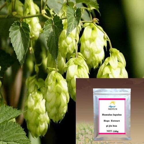 100g-1000g High Quality Pure Hop Extract Powder, Relieve Insomnia, Cough, Hops, Good Effect, Free Delivery