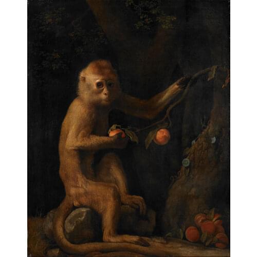 2020 HOME OFFICE WALL Decor ART # George Stubbs A Monkey 1786 print art painting on canvas-- free shipping