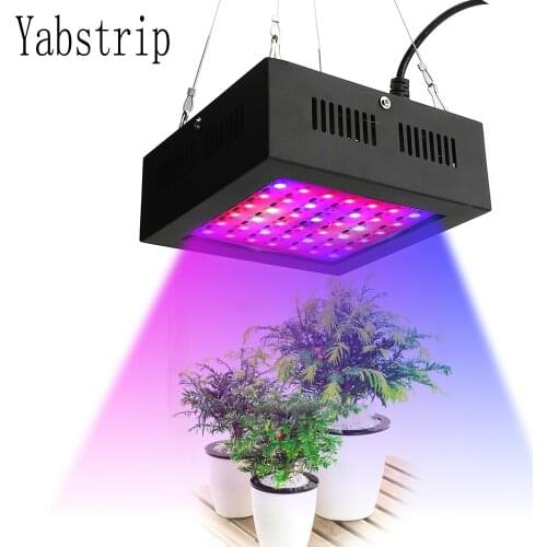 Yabstrip fitolampy new model led grow light 80W full spectrum led plant light for indoor plant growing lamp phyto lamp