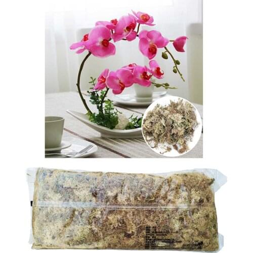 6L Dry Organic Matter Terrarium Sphagnum Moss Orchids Soilless Cultivation