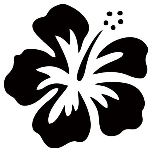 Cool Graphics Car Stying Hawaiian Hibiscus Flower Vinyl Car Sticker Window Decals Jdm