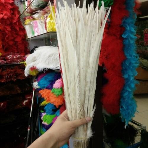 Hot Selling 22-24inches/55-60cm 100 Pcs Beige Pheasants Feathers Stage Performances Wedding Decoration Accessories