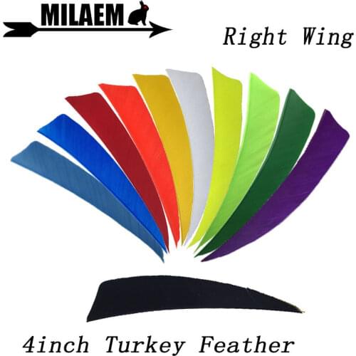 50/100pcs 4inch Archery Turkey Feathers Arrow Fletching DIY Arrow Shaft Outdoor Sports Hunting Shooting Bow Arrow Accessories