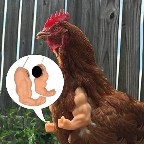 Товары для сельхоз животных Kesoto China At AliExpress