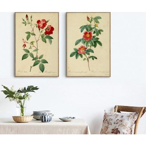 Botanical Collection Vintage Posters Prints Rose Flowers Leaf Wall Art Pictures Retro Plants Canvas Painting For Home Room Decor