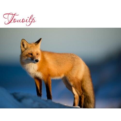 5D Diy Pretty sly fox spuare&round diamond painting crystal Painting diamonds decorative diy bird diamond embroidery kits