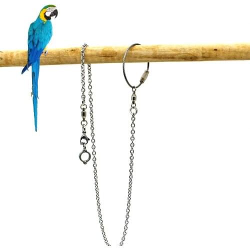 1Pc New Bird Parrot Foot Chain Stainless Steel Ankle Foot Ring Stand Outdoor Flying Training Bird Accessories