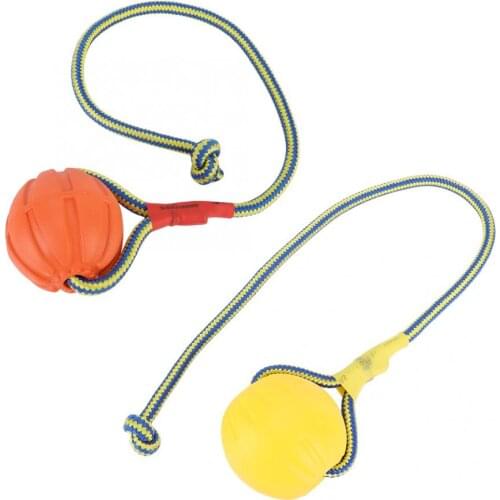 6cm Portable EVA Pet Dog Training Bite Resistant Interactive Chew Toys Ball with Carrier Rope Dog Toys