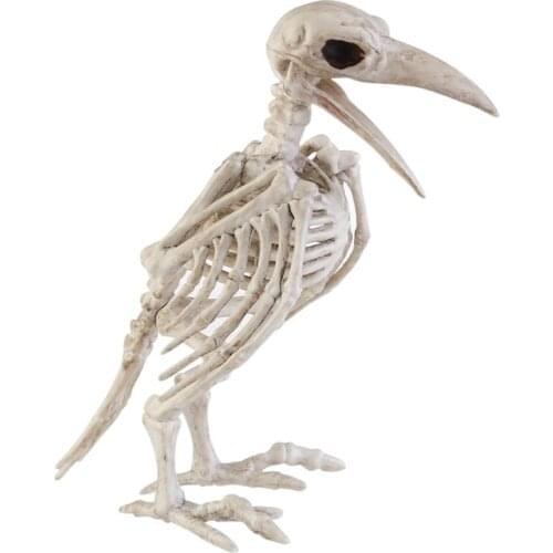 Crazy Bone Skeleton Raven Plastic Animal Skeleton Bones Horror Halloween Decoration Halloween Prop Bird Crow Skeleton Decoration