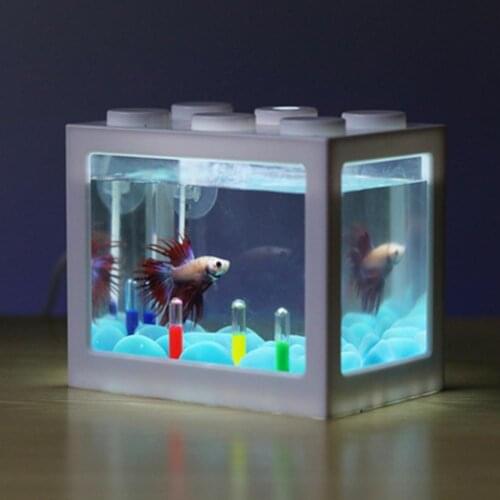 LanLan Home Aquariums