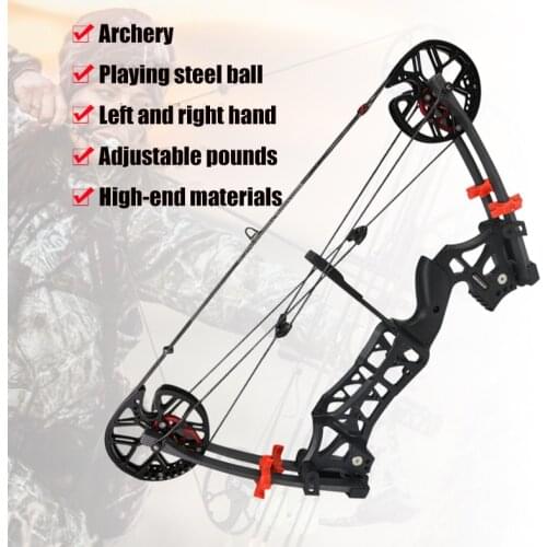M109E 30-60lbs Compound Bow Steel Ball Bow Dual-use Right Hand Left Hand Fishing Hunting Bow Outdoor Sports Bow And Arrow