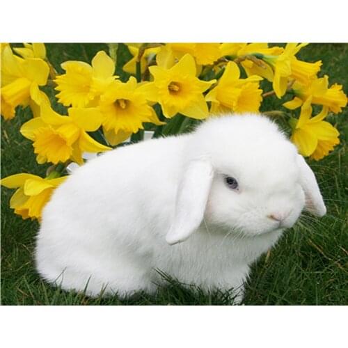 Bunny 5D DIY Diamond Painting Full Square Round 3D Embroidery Flowers Pictures of Rhinestones Cross Stitch Kit Room Decor DF642