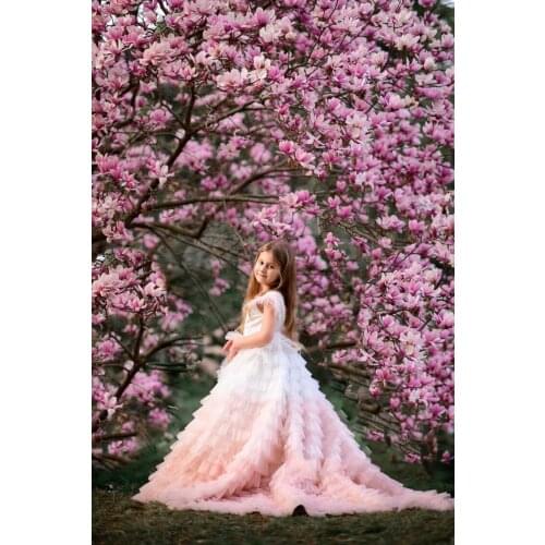Tiered Big Bottom Princess Ball Gowns For Girls Birthday Girls Pink Bottom Dresses Celebrity Dress Ball Gowns Sleeveless Dress