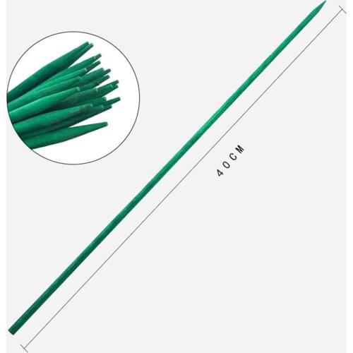 Canes Plant Stake Bamboo For Flowers Garden Green Plant Professional Sticks