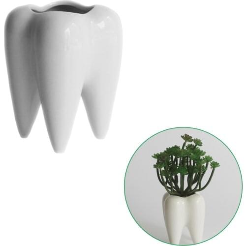 White Ceramic Fleshy Small Flowerpot Tooth Shape Table Plant Pot Home Decoration Tooth-Shaped Desktop Ceramic Flower Pot