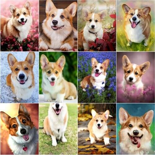 GATYZTORY 40x50 Frame Oil Painting By Numbers For Adults Cute Dog Animal Picture By Number HandPaint DIY Gift Home Wall Decors