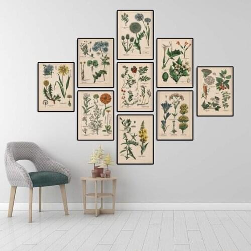 Botanical Collection Vintage Posters and Prints Herbs Wall Art Pictures Home Wall Decor Kraft pape no framed