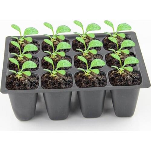 FenKicyen Seedling Pots
