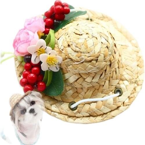 Free Shipping Dog Hat Adjustable Design Berry Rose Cat Cap Accessories Pet Yorkie Poodle Maltese Photography