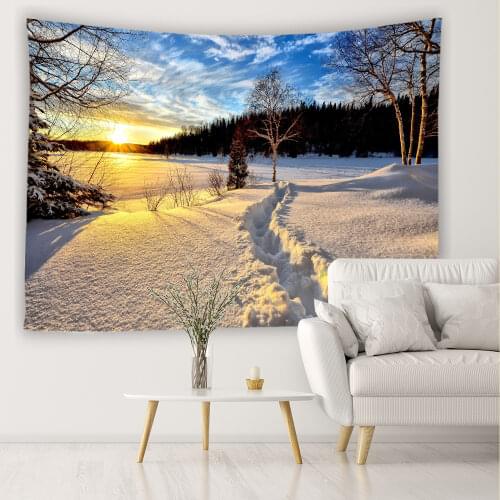 LEYUNYOU Decorative Tapestries