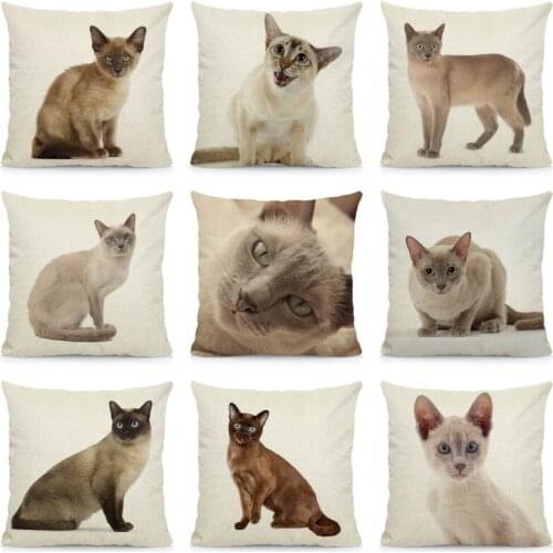 XUNYU Cute Tonkinese Cat Cushion Cover Animal Print Throw Pillow Case Home Decoration Sofa Decorative Pillowcase 45x45cm DWM005