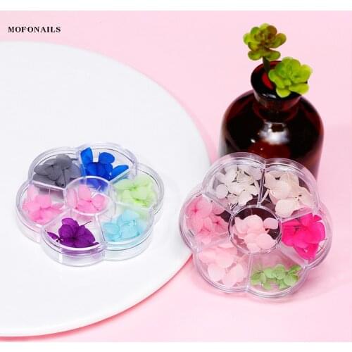 6 Color 1 Box Nail Dry Sticker Real Dried Flower Natural Floral 3D Nail Sticker Decals Jewelry UV Gel Polish Manicure Decoration