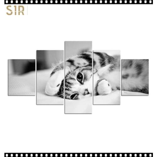 HD 5 Pieces Pet Cat Animal Pictures Posters Wall Art Home Decor for Living Room Painting on The Wall Cat Pet Pictures Wall Art