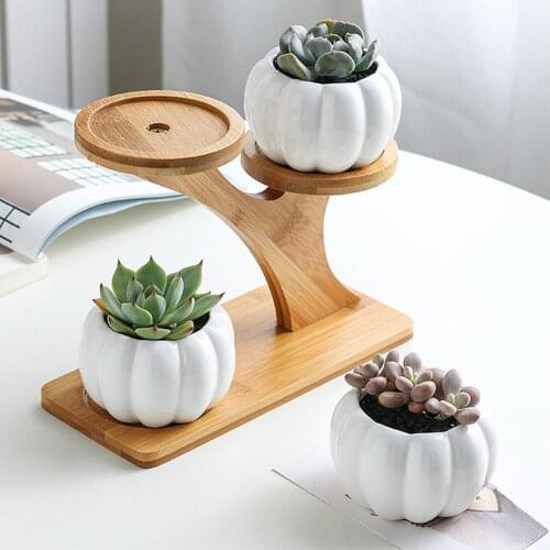 Simple White Succulent Plant Flower Pot Holder Ceramic Pumpkin Pattern Pot Treetop Shaped Bamboo Shelf Pot Planter Set