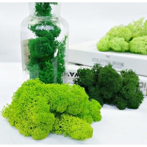 Artificial Moss Garden Grass Decoration Multi-color Optional DIY Micro Landscape Moss Embellishment Immortal Moss Wall Decor