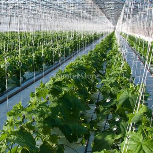 2x 15m Tomato Hooks Vegetable Clips For Farm Planting Cucumber Fruit Tomato Clip