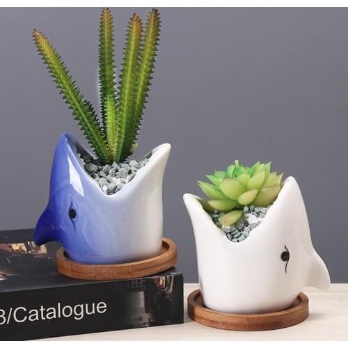 Creative Cartoon Ceramics Big Mouth Shark Flowerpot Simple Succulent Plant Container Green Planters Small Bonsai Pots Home Decor
