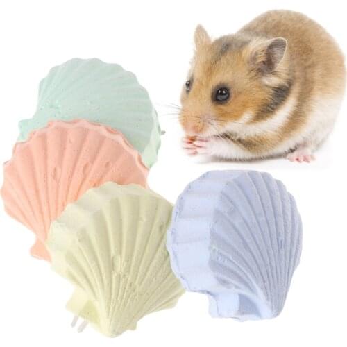 Shell shape Parrot Hamster Teeth Grinding Toys Birds Squirrel Calcium Stone Shell Shape Chew