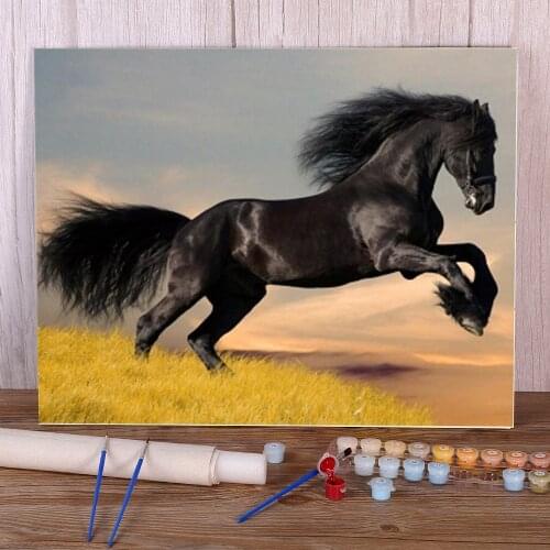 Two Horse Animal DIY Painting By Numbers Package Oil Paints 40*50 Oil Painting Loft Picture Crafts Adults Handicraft Art