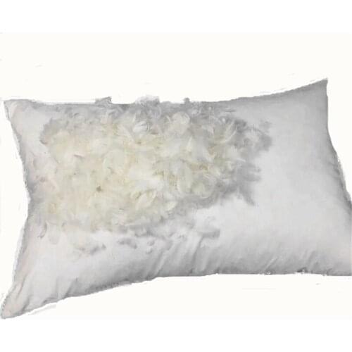 48*74cm White Goose Down Feather Pillow Cotton Cover Five Star Hotel Pillow Adult Single