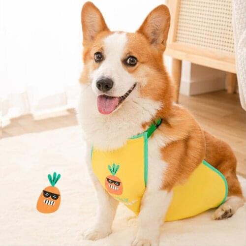 2021NEW High Grade Dog Corgi Dudou Encircle Waterproof Clothes Cat Cold Protect Belly Pet Belly Protection Summer Teddy T-Shirt