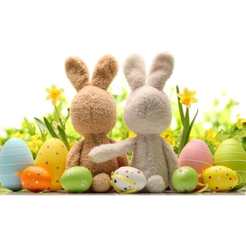 VinylBDS Background 5X7FT Easter Decoration Rabbit Backdrops Huevos De Pascua Backdrop Conejo Pascua Photo for Children